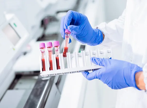 laboratorio